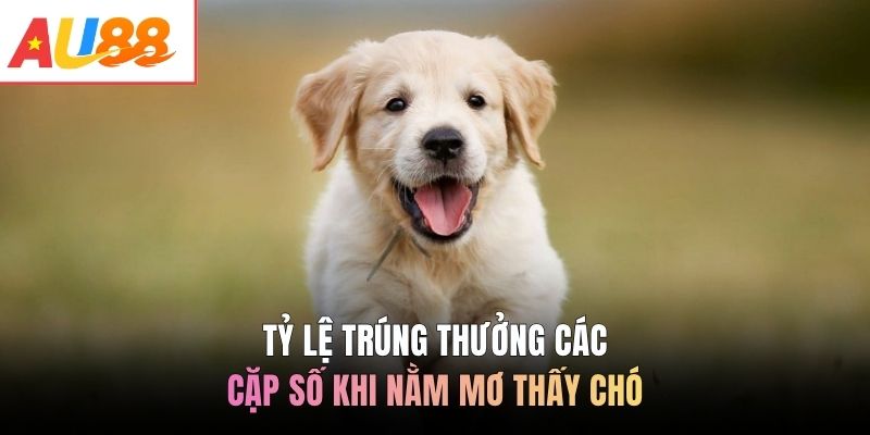 Tỷ lệ trúng thưởng các cặp số khi nằm mơ thấy chó